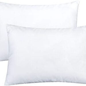 NTBAY 2 Pack Cotton Down Alternative 13x18 Pillows, Machine Washable - Soft and Breathable Travel Small Pillows for Sleeping, Ideal for Daycare, Crib, Cot